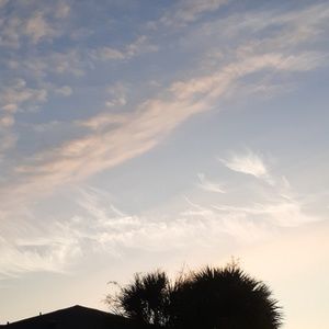 Meet your Posher, Raul